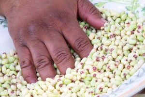 Cowpeas