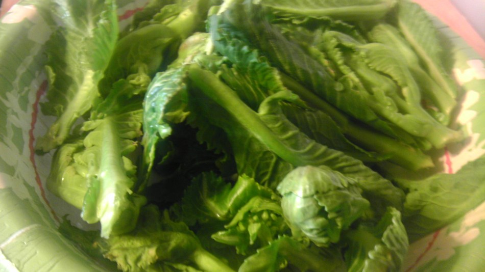 Green Glaze Collard Sprouts