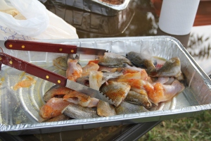 Catfish and Bream ready to fry, Heath Springs, South Carolina 