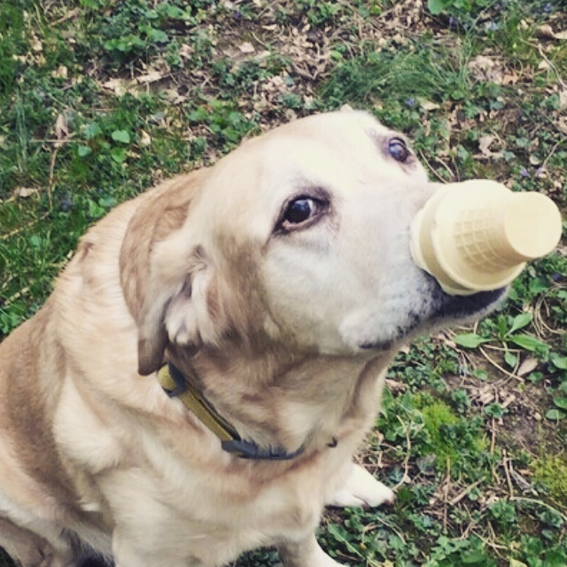 IMG_20150425_163626.jpg image