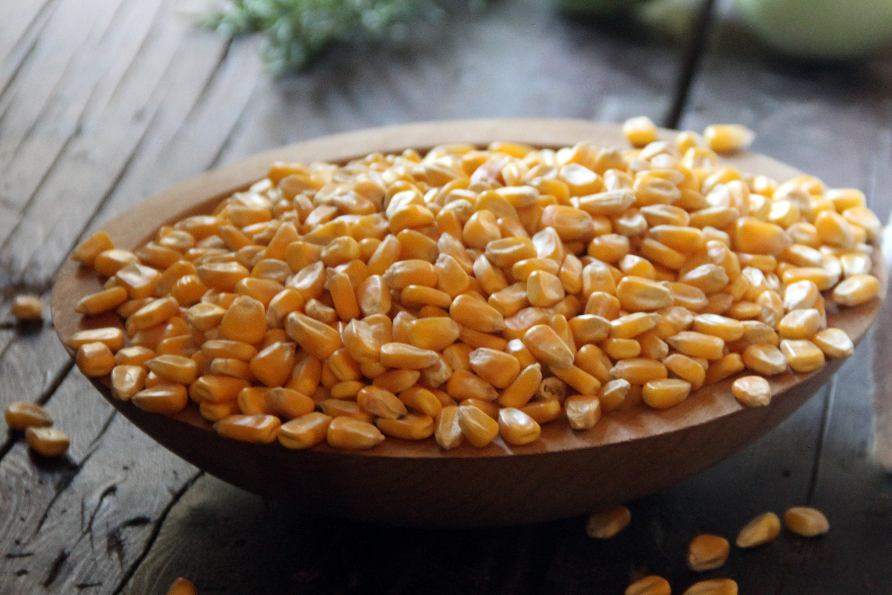 How to Make Kush, the Original Cornbread Stuffing MUNCHIES